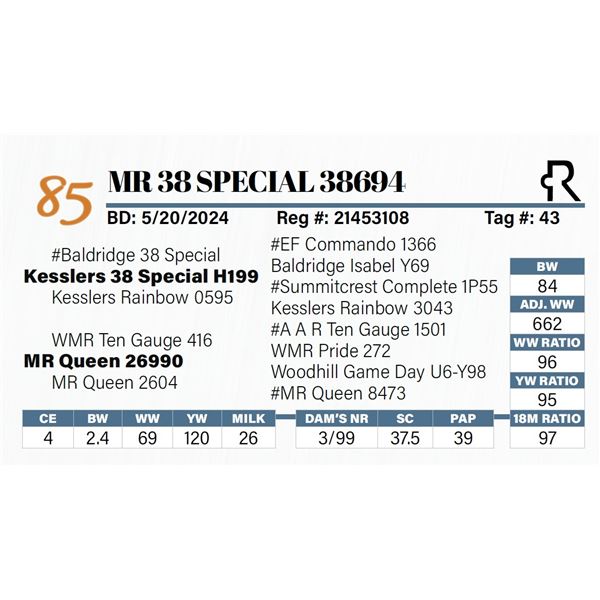 MR 38 Special 38694