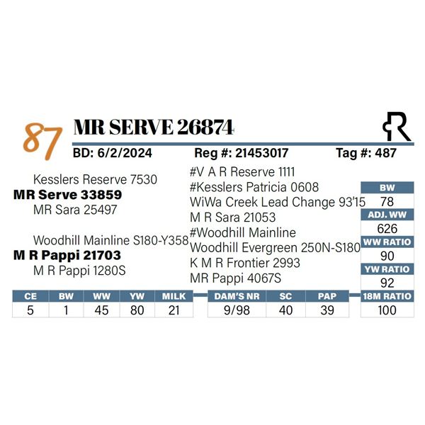 MR Serve 26874