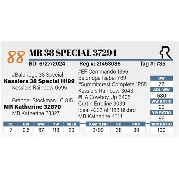 MR 38 Special 37294