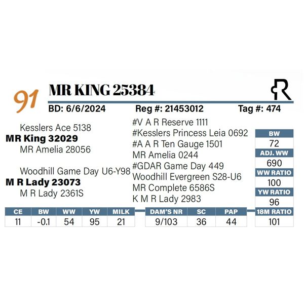 MR King 25384