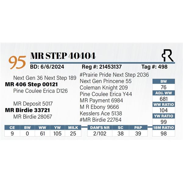 MR Step 40404