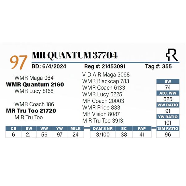 MR Quantum 37704