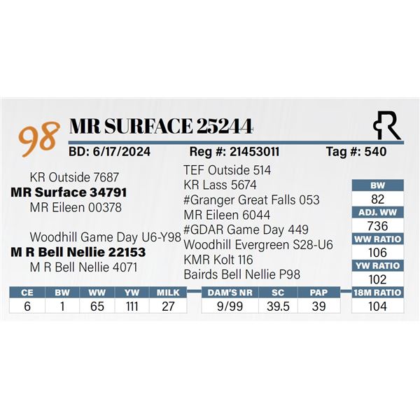 MR Surface 25244
