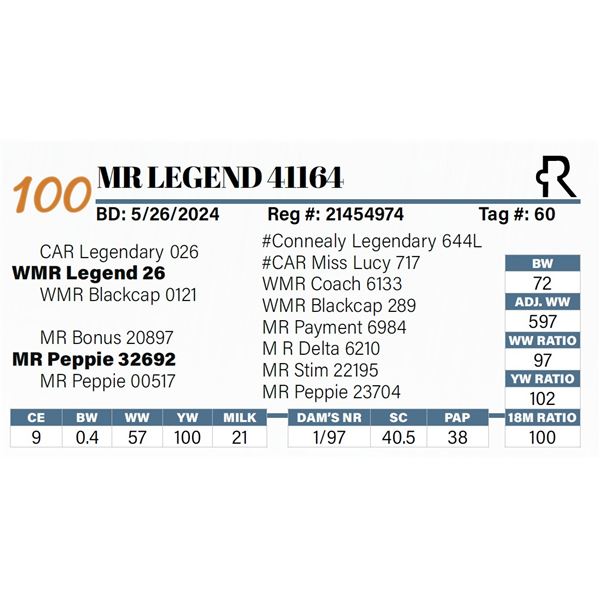 MR Legend 41164