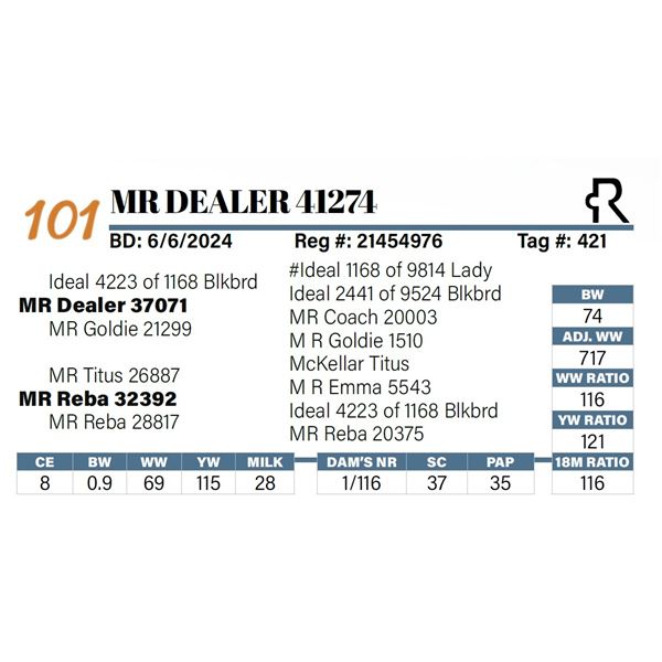 MR Dealer 41274