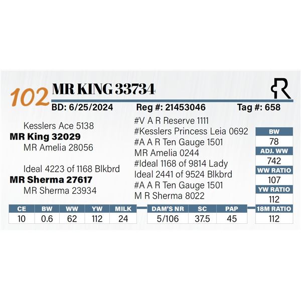 MR King 33734