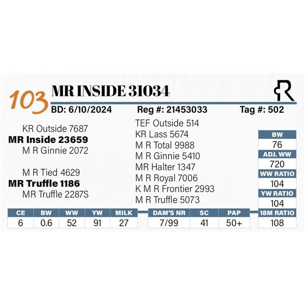 MR Inside 31034