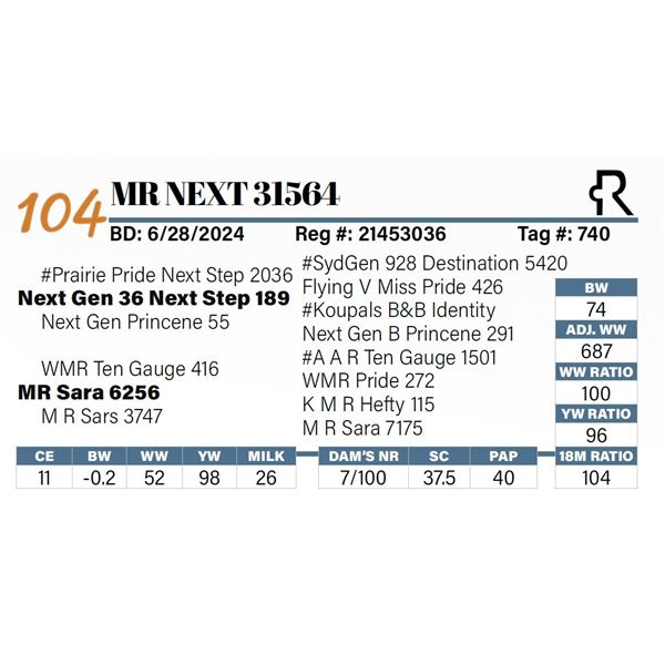 MR Next 31564