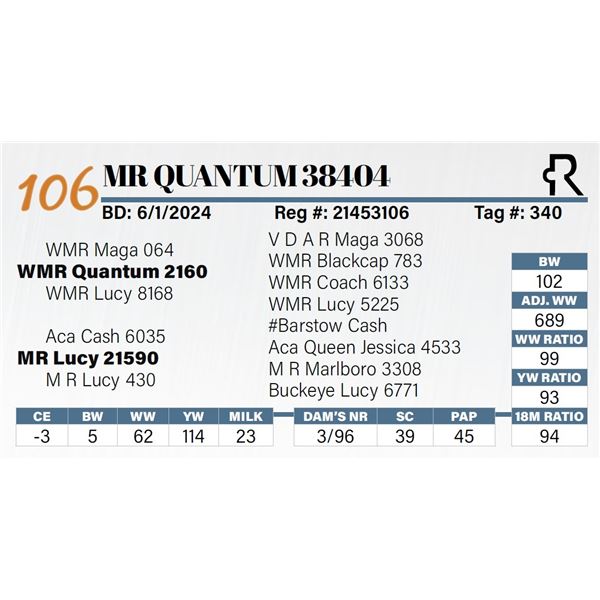 MR Quantum 38404