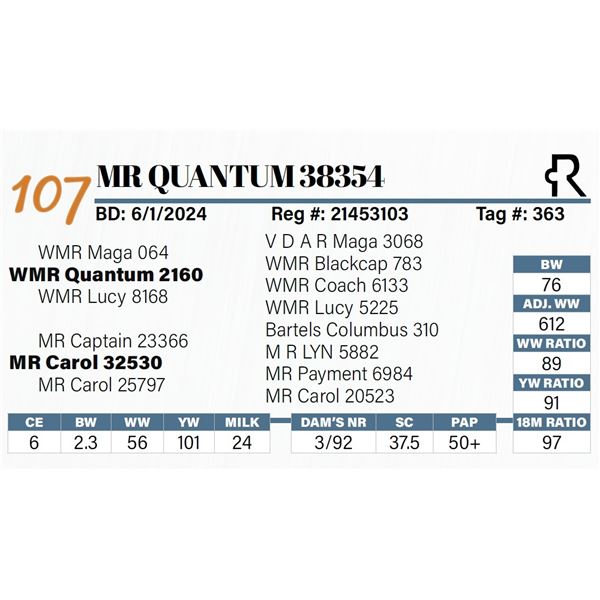 MR Quantum 38354