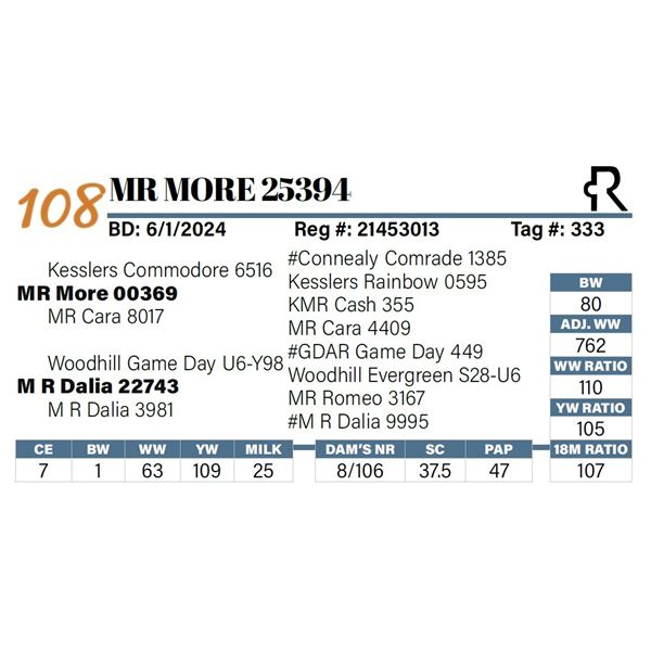 MR More 25394