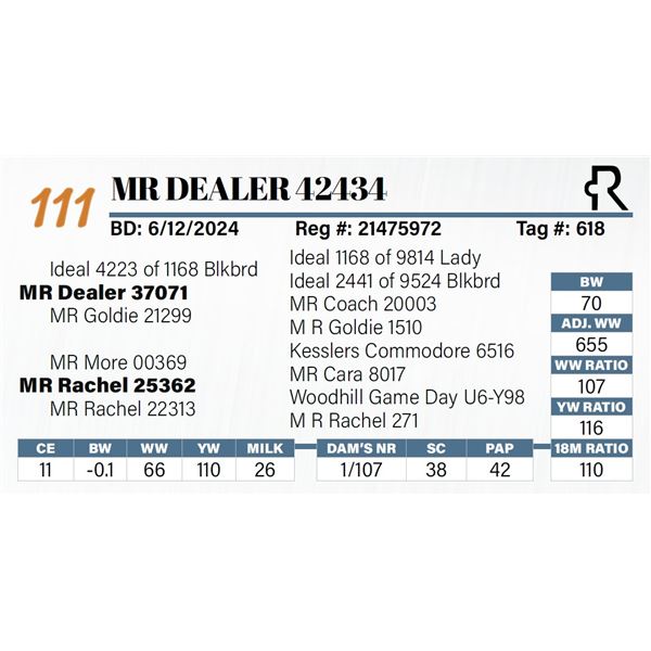 MR Dealer 42434
