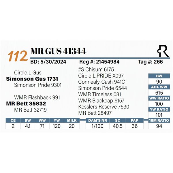 MR Gus 41344