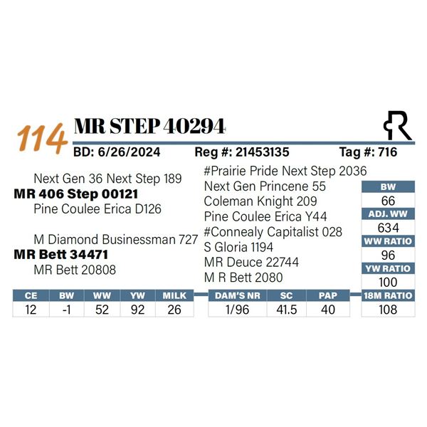 MR Step 40294