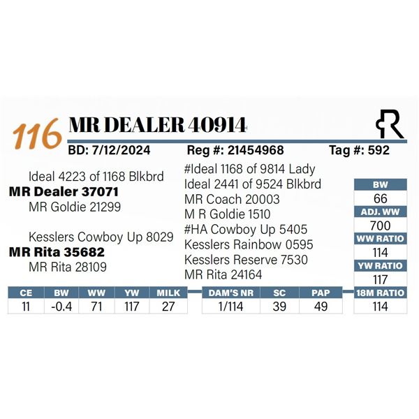 MR Dealer 40914