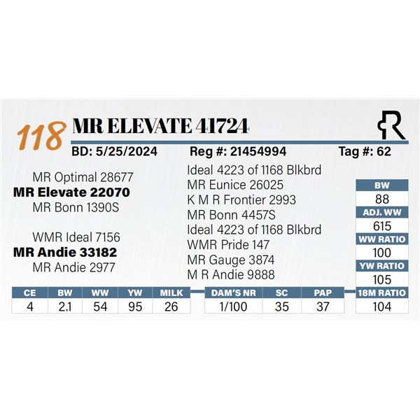 MR Elevate 41724