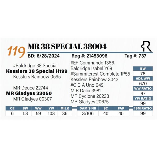 MR 38 Special 38004