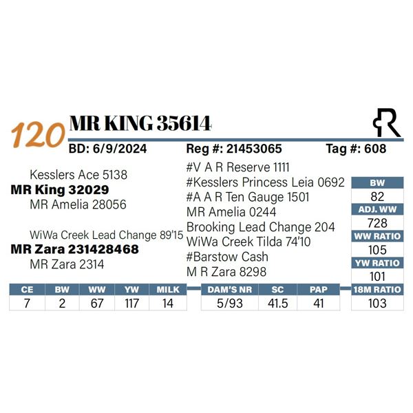 MR King 35614