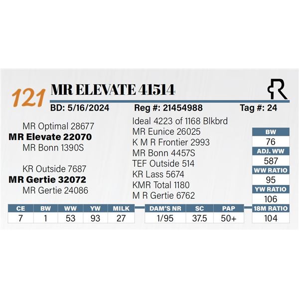 MR Elevate 41514