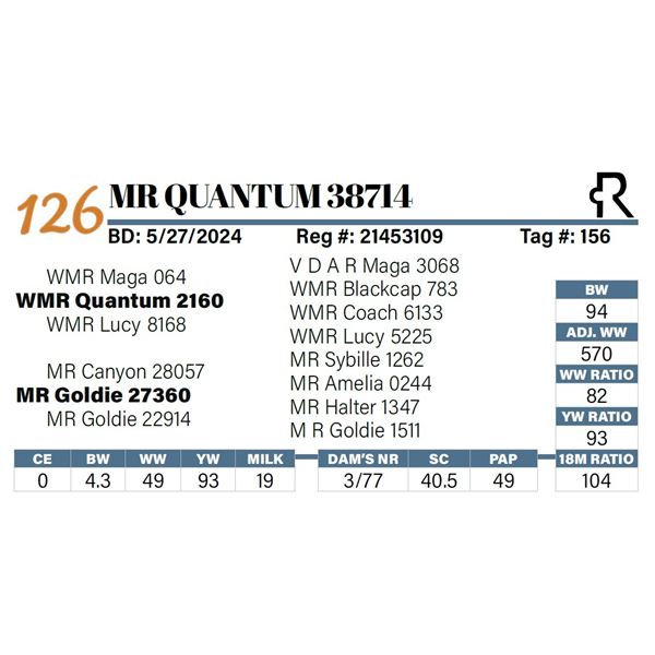 MR Quantum 38714