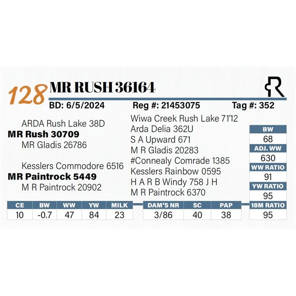 MR Rush 36164