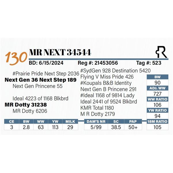 MR Next 34544