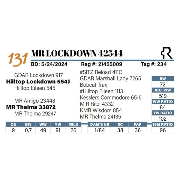 MR Lockdown 42544