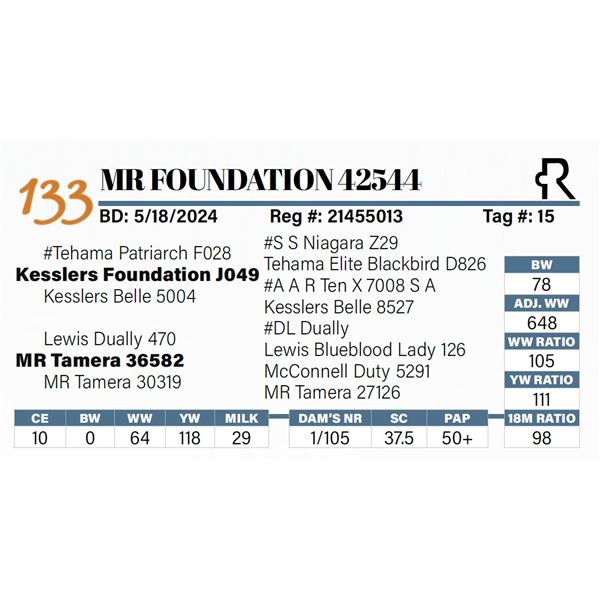 MR Foundation 42544