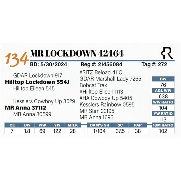 MR Lockdown 42464