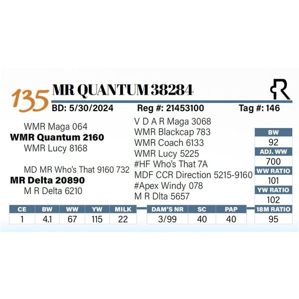 MR Quantum 38284