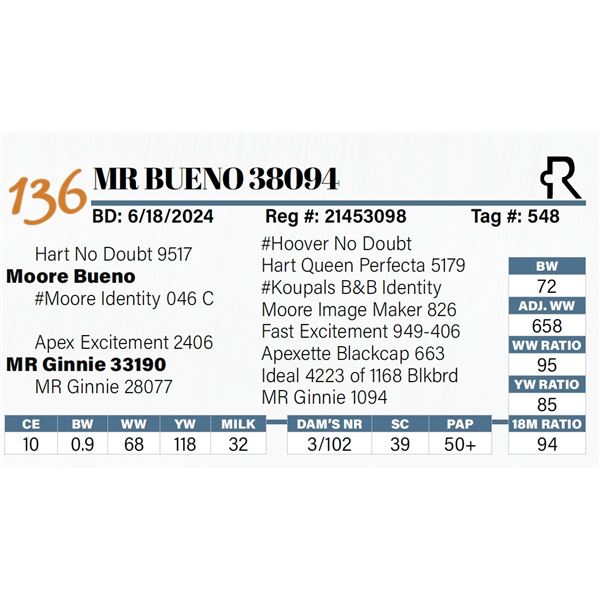 MR Bueno 38094