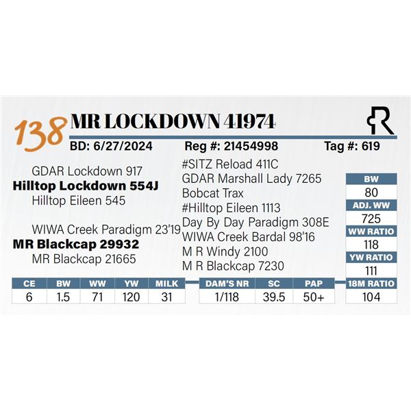 MR Lockdown 41974