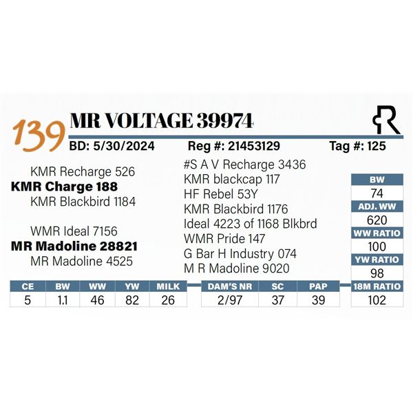 MR Voltage 39974