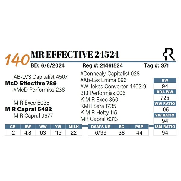 MR Effective 24524