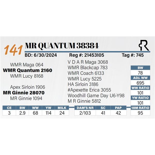 MR Quantum 38384
