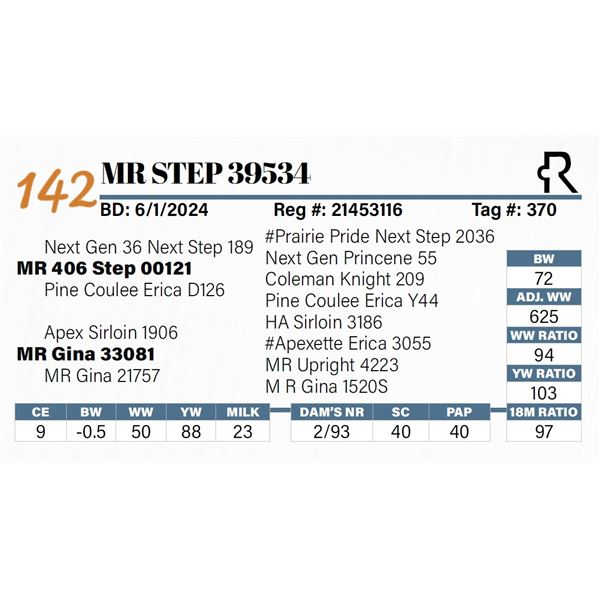 MR Step 39534
