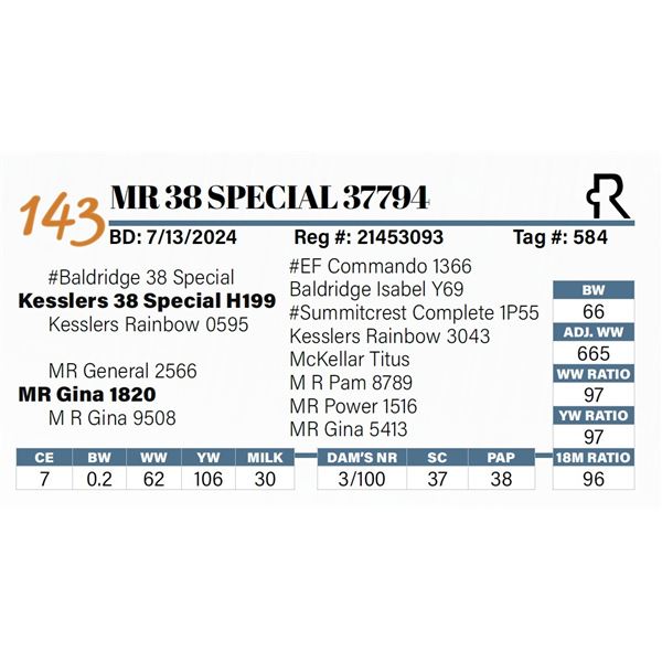MR 38 Special 37794