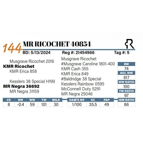 MR Ricochet 40854