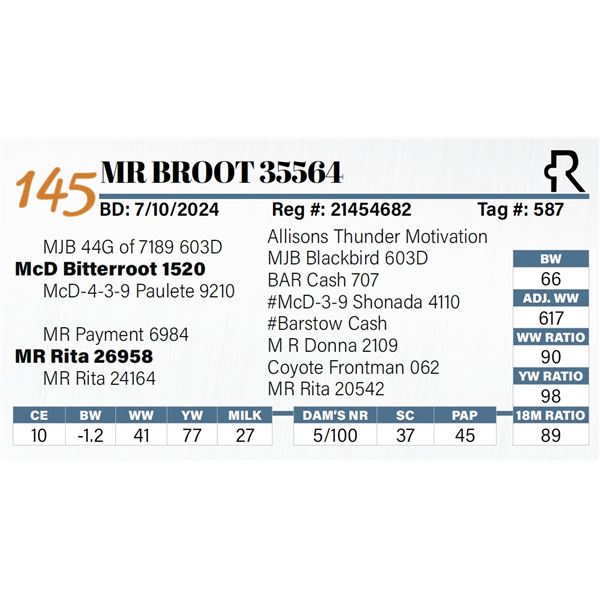 MR Broot 35564