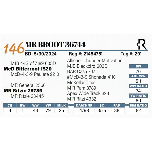 MR Broot 36744