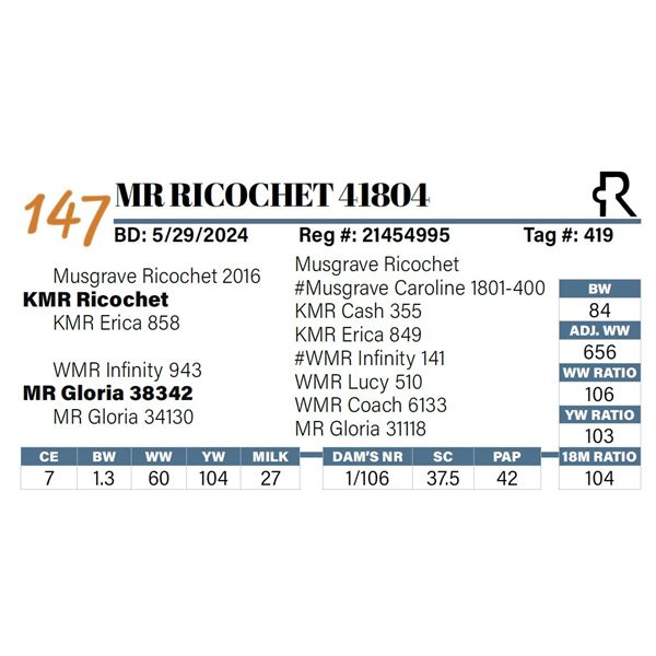 MR Ricochet 41804