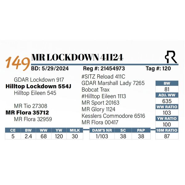 MR Lockdown 41124