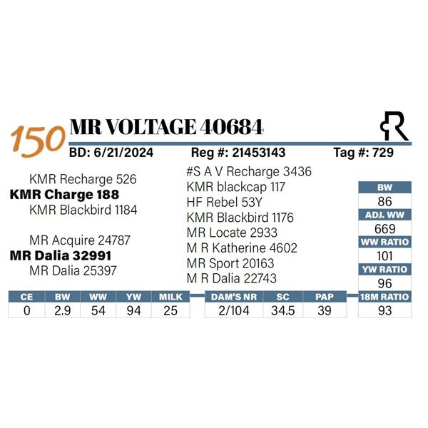 MR Voltage 40684