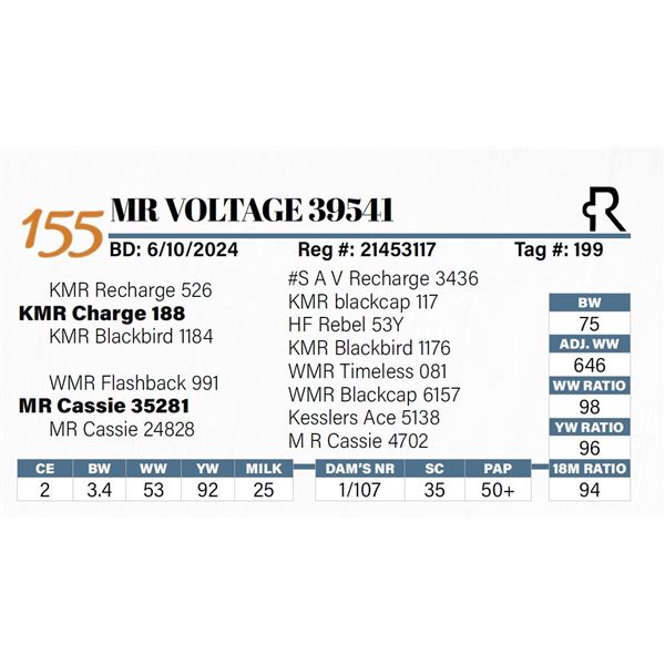 MR Voltage 39541