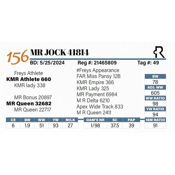 MR Jock 41814