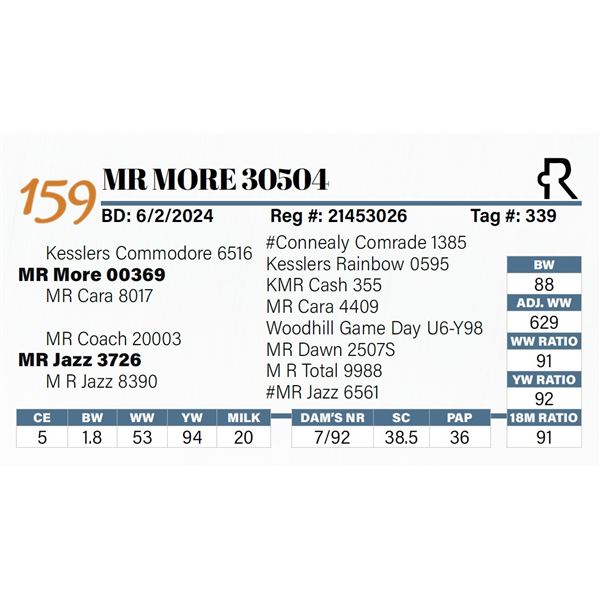 MR More 30504
