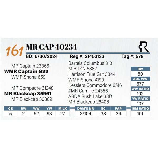 MR Cap 40234