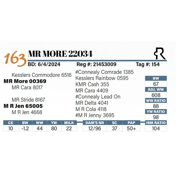 MR More 22034