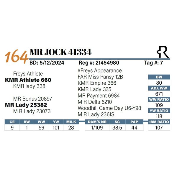 MR Jock 41334