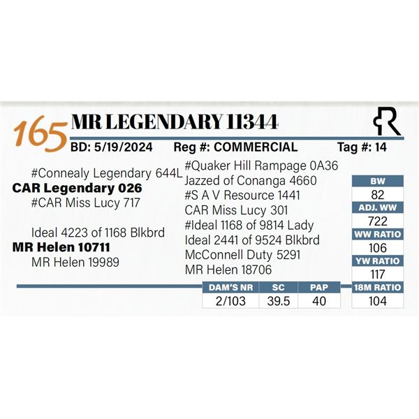 MR Legendary 11344